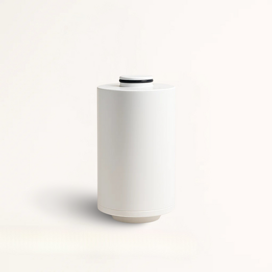 CORE - Filter Replacement