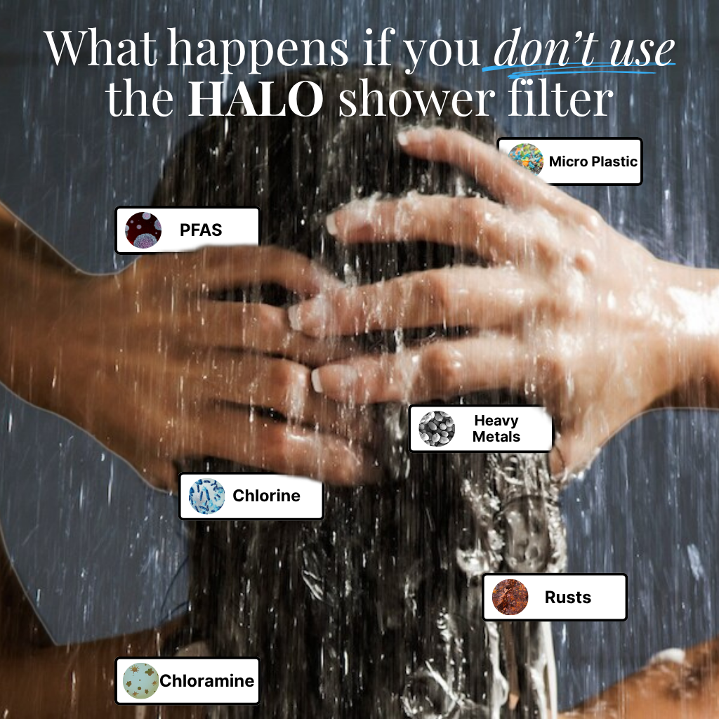 HALO - Shower Head