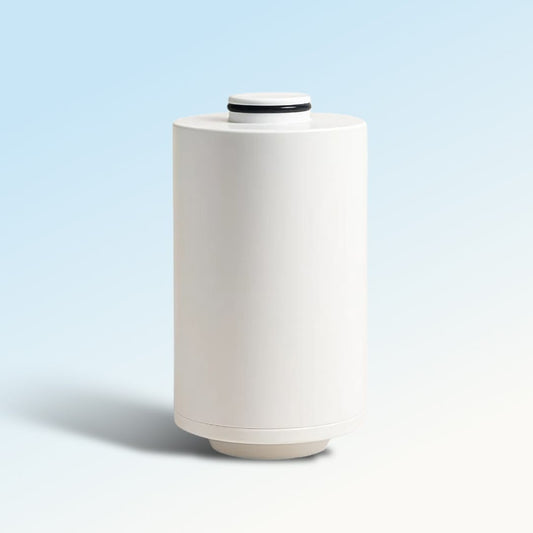 CORE - Filter Replacement