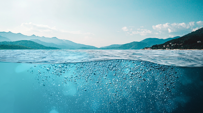 Hidden Cause #5: Environmental Toxin Exposure